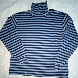 Hanna Andersson Women's Striped Turtleneck - Navy and Light Blue
